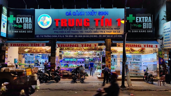 Cửa hàng cá cảnh thủy sinh Trung Tín, Tân Bình, TP.HCM