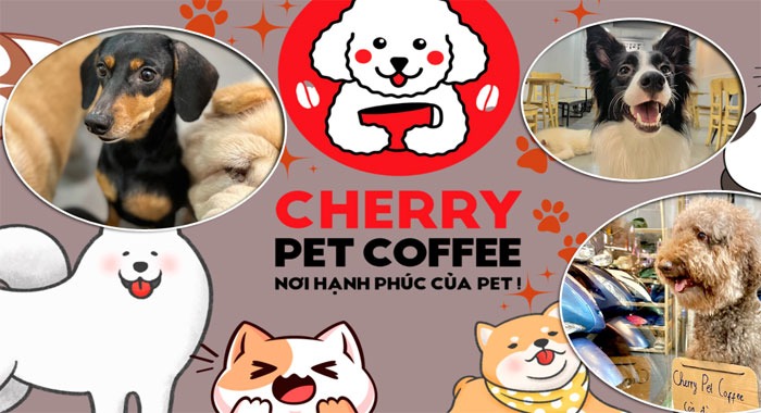 Cherry Pet Coffee – Quán cà phê thú cưng Quận 10, TP.HCM